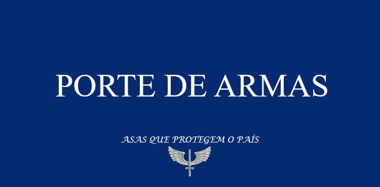 Armas de fogo BREVET