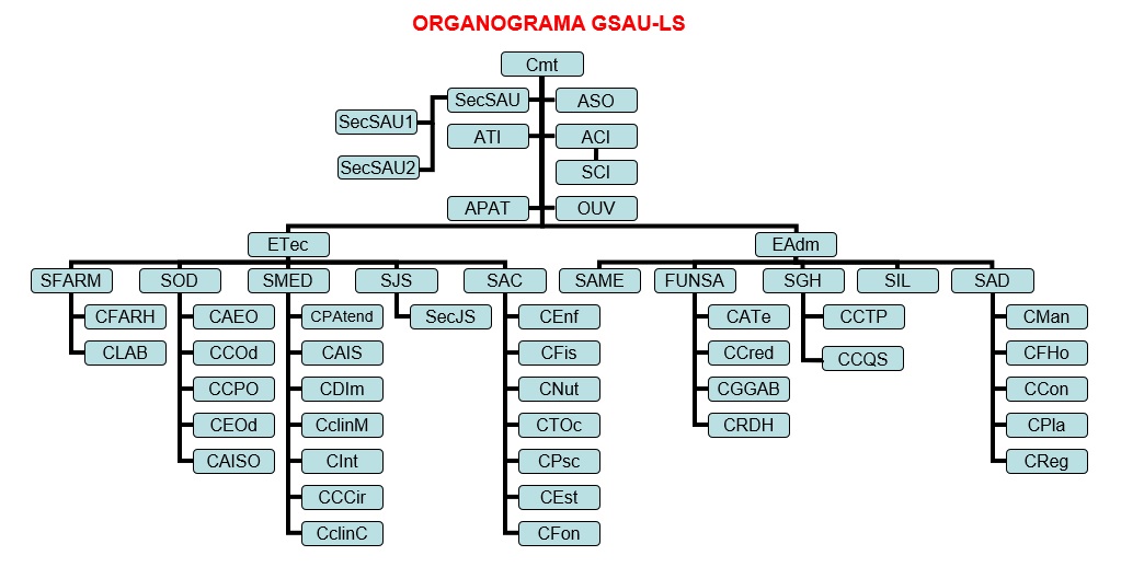 ORGANOGRAMA GSAU LS