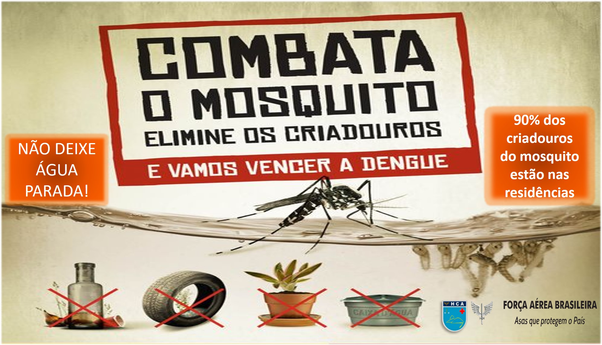 Combata o Mosquito!